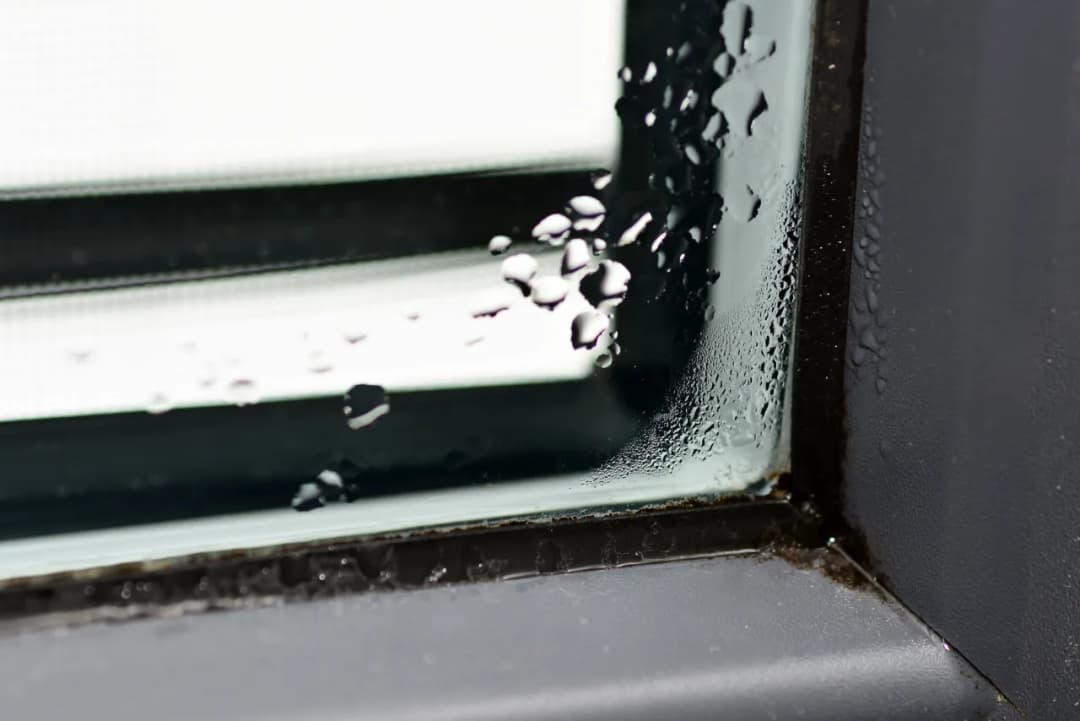 Skuteczne metody na usunięcie pleśni z uszczelek okiennych