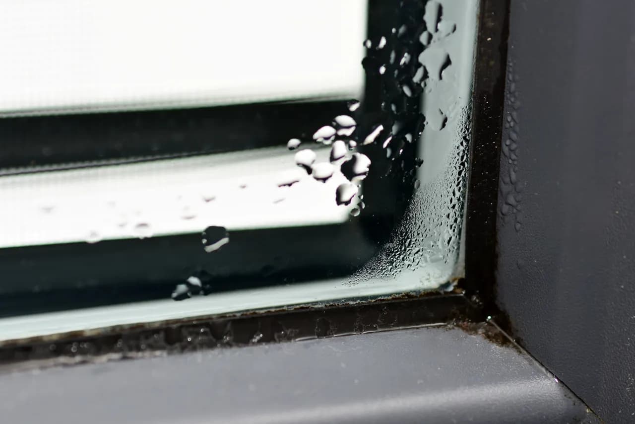 Skuteczne metody na usunięcie pleśni z uszczelek okiennych